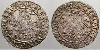 Polen-Litauen Halbgroschen Sigismund August 1544-1572.