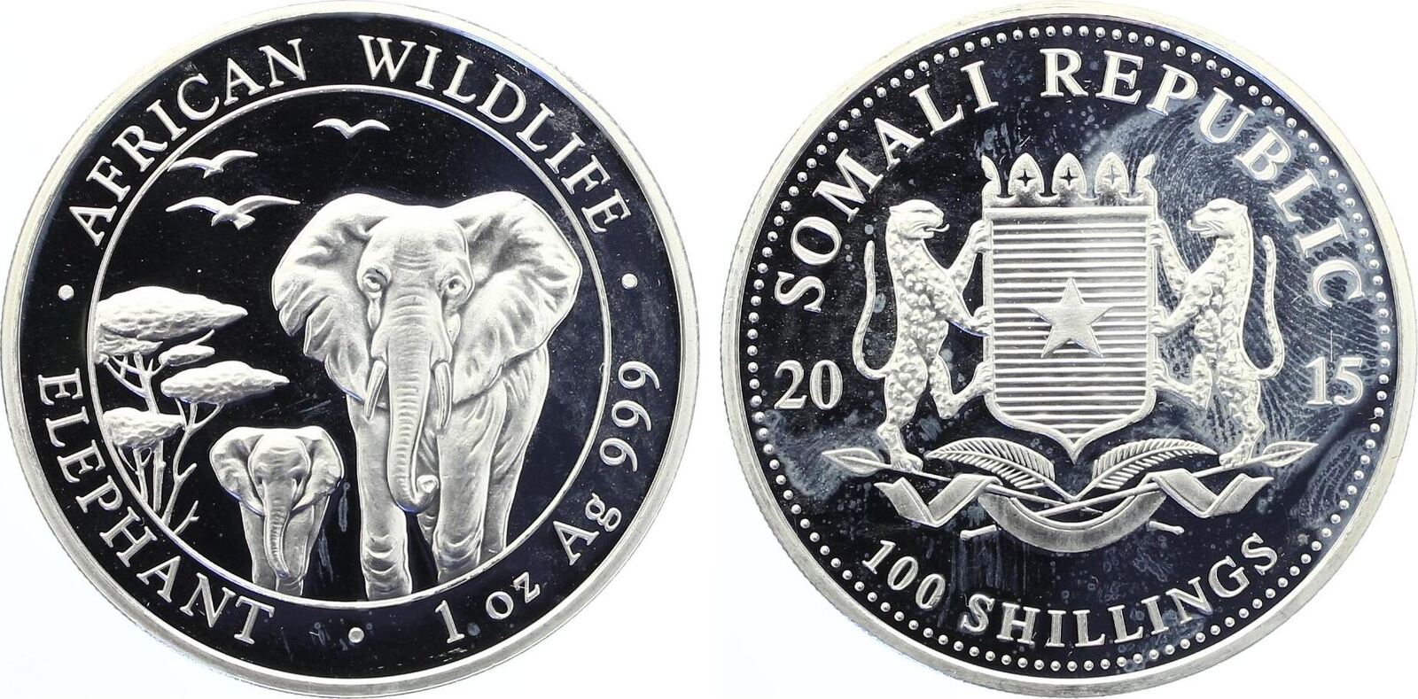 2015 100 Schilling Shillings Somalia Silber African Wildlife Elefant 1