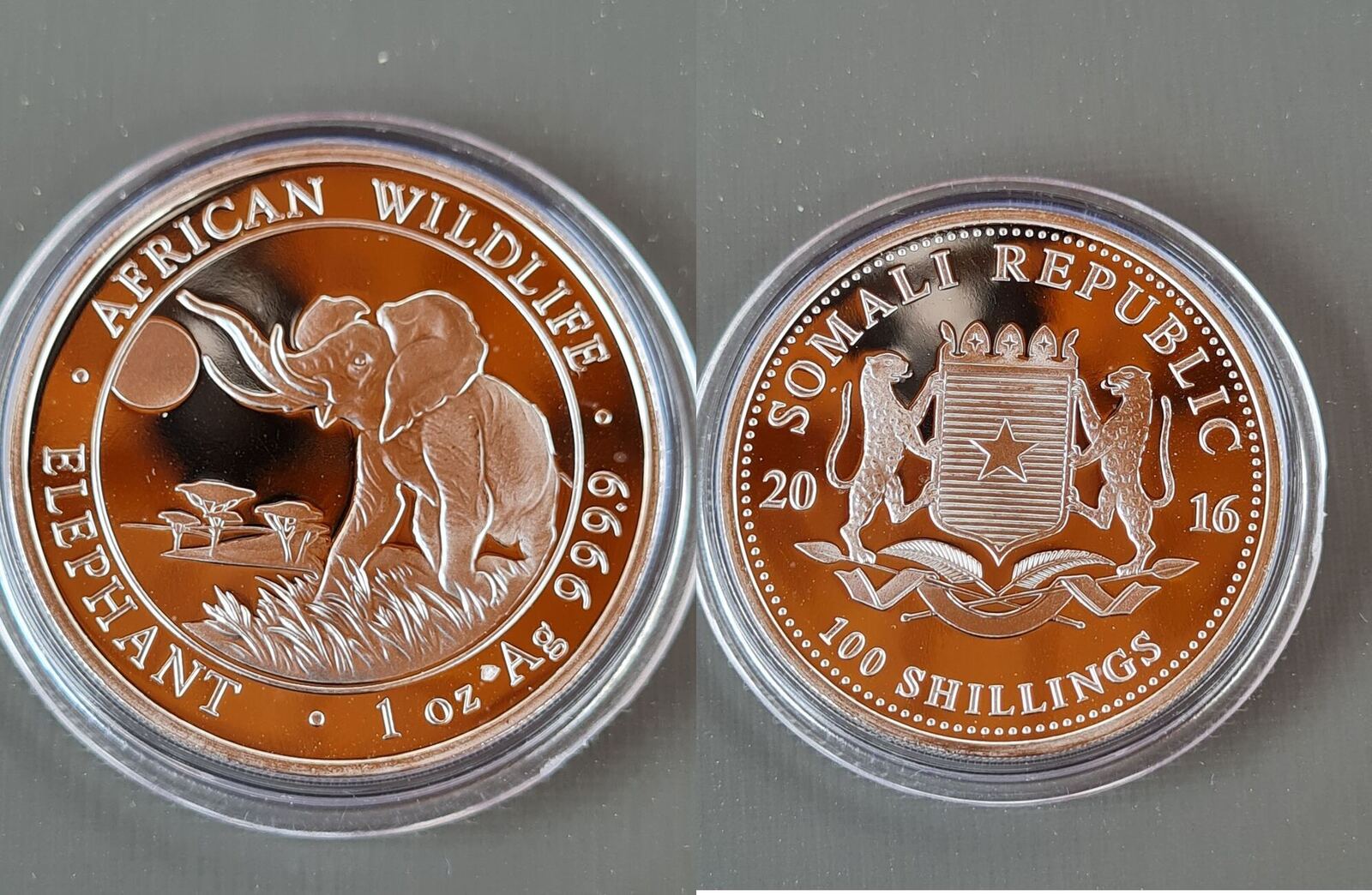 2016 100 Schilling Shillings Somalia Silber African Wildlife Elefant 1