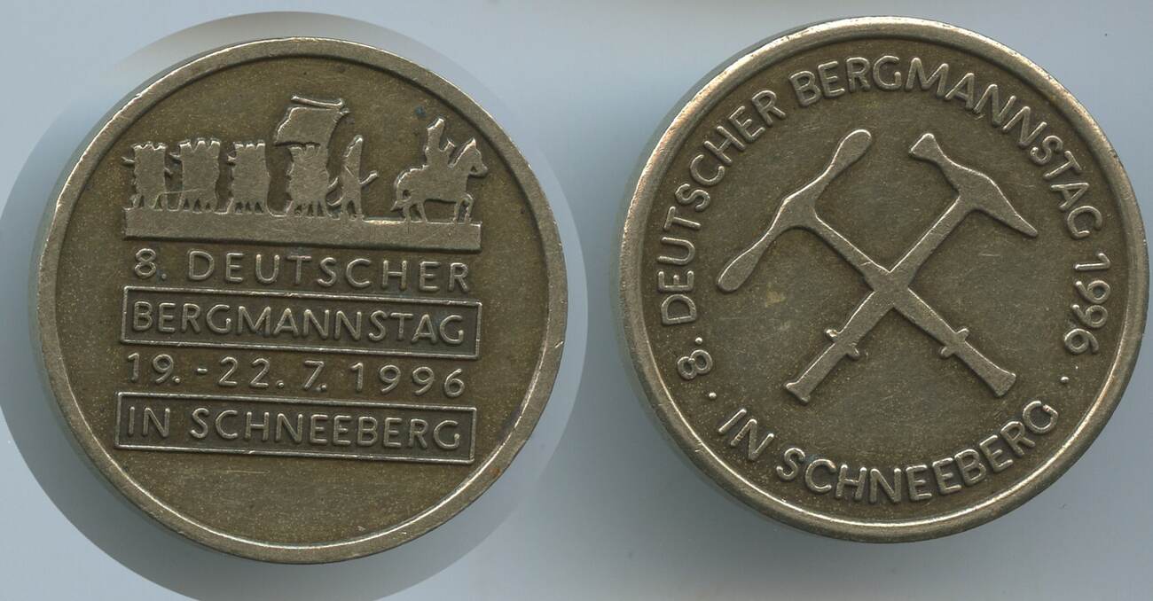 Deutschland Bundesrepublik Sachsen Gedenkmedaille 1996 M 6081 8