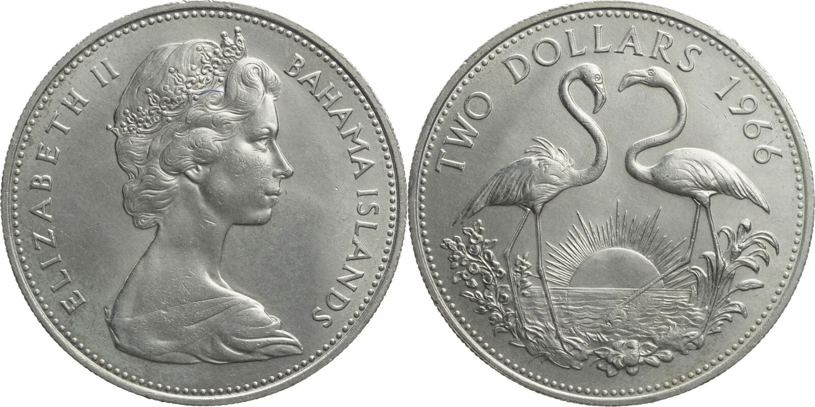 Bahamas Dollars Elisabeth Ii Kursm Nze Flamingo