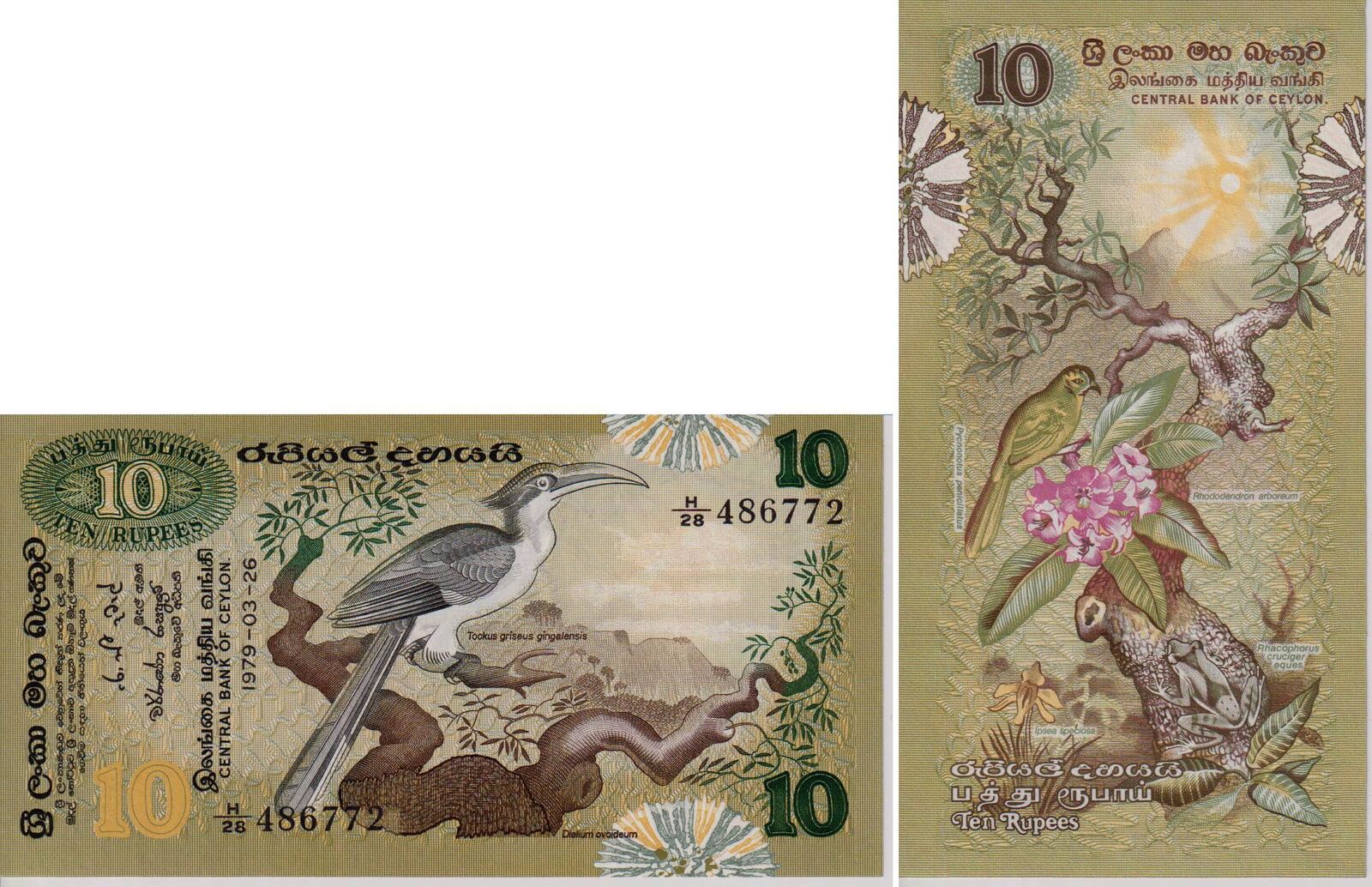 1979 Banknote Sri Lanka 1979 10 Rupees Rupien Hornbill