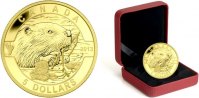 Kanada  5 Dollar 2013 st mit Box 1/10 Unze...