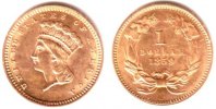 USA 1 Dollar Liberty-Kopf mit Federkrone