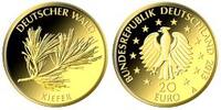 Deutschland 20 Euro 1/8 Unze Goldmünze - Kiefer