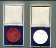 DDR/Bitterfeld, Keramik-Medaille, Für Fehlerfreien Schaltdienst,