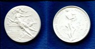 DDR/Schwerin, Porzellan Medaille, 100 Jahre Staatliches Museum Schwerin, Image