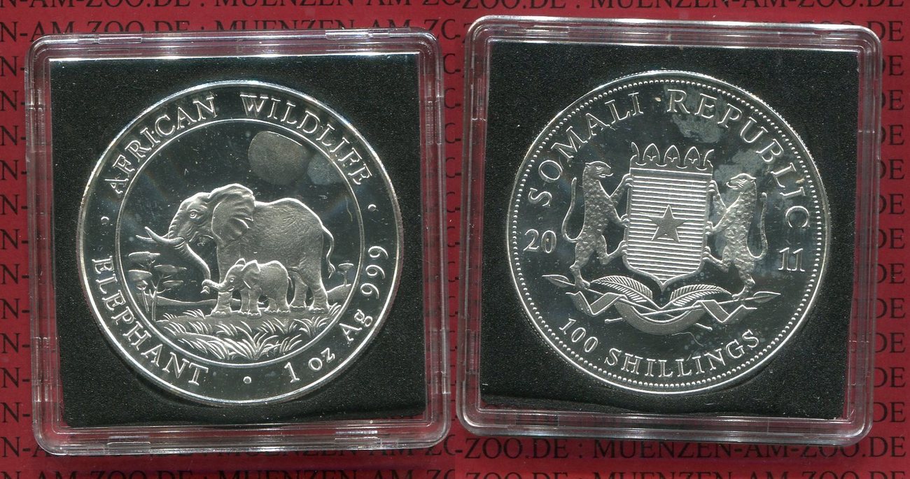 Shillings Elefant Unze Silber Somalia Shilling Unze