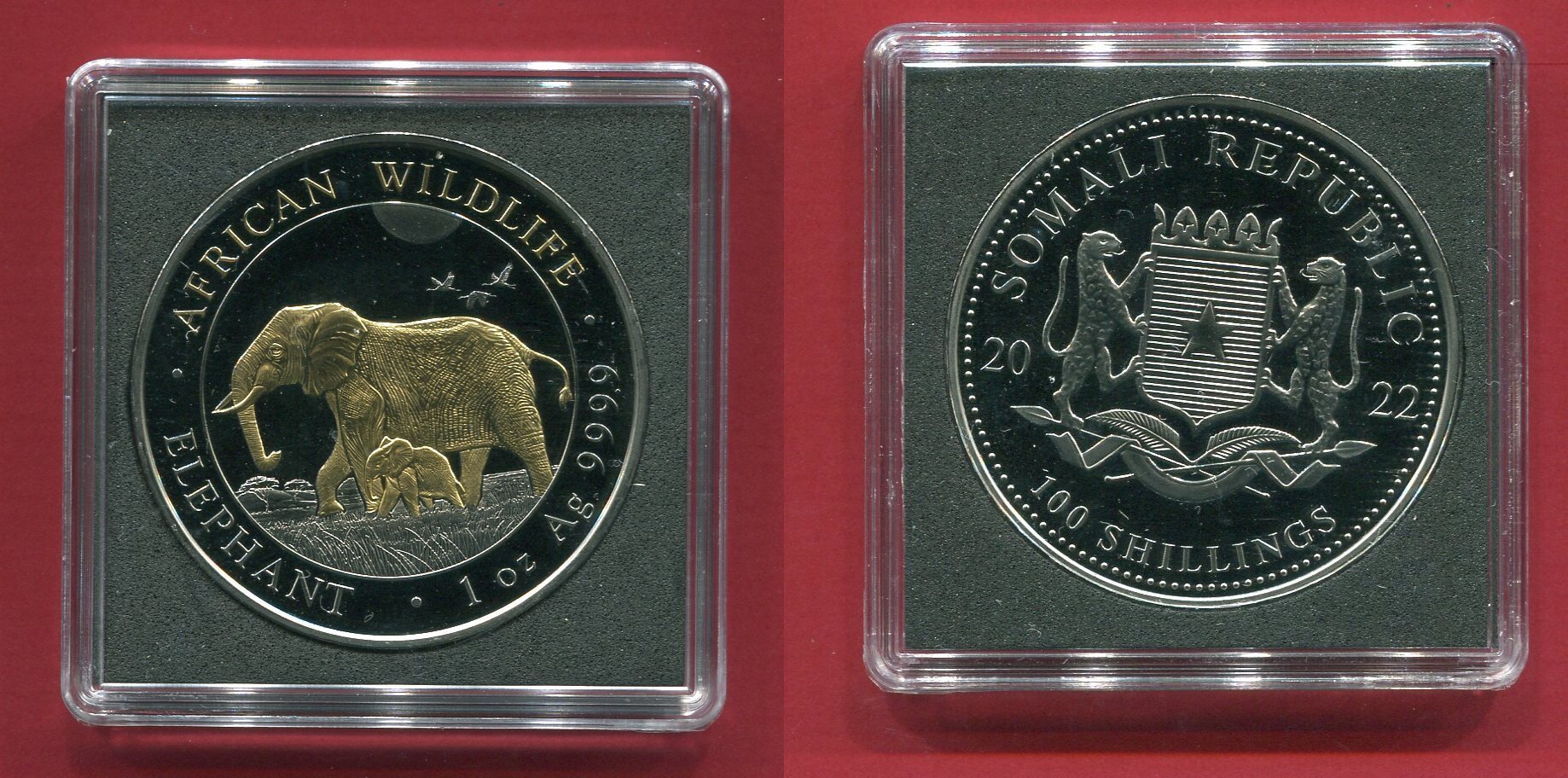 Somalia Shillings Silberm Nze Golden Enigma Edition African