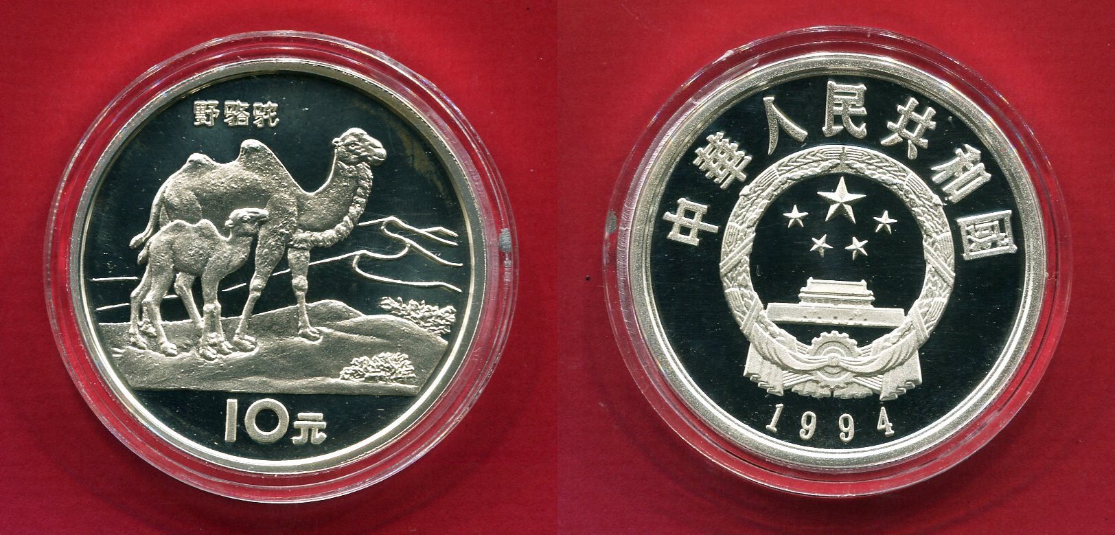 China 10 Yuan Silbermünze 1994 Wildkamel Gefährdete Tierwelt Serie PP