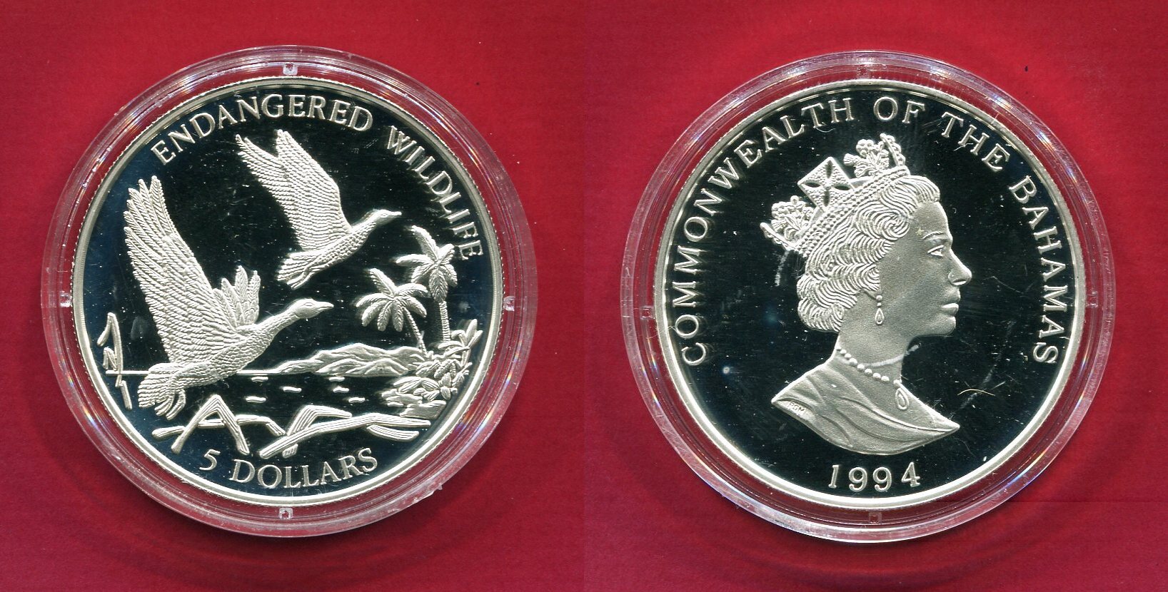 Bahamas 5 Dollars Silbermünze 1994 Kubapfeifgans Gefährdete Tierwelt