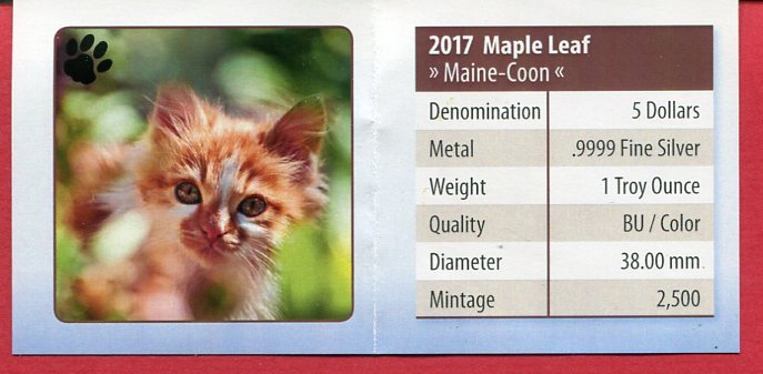 Kanada 5 Dollars Silbermünze 2017 Maine Coon m Farbapplikation