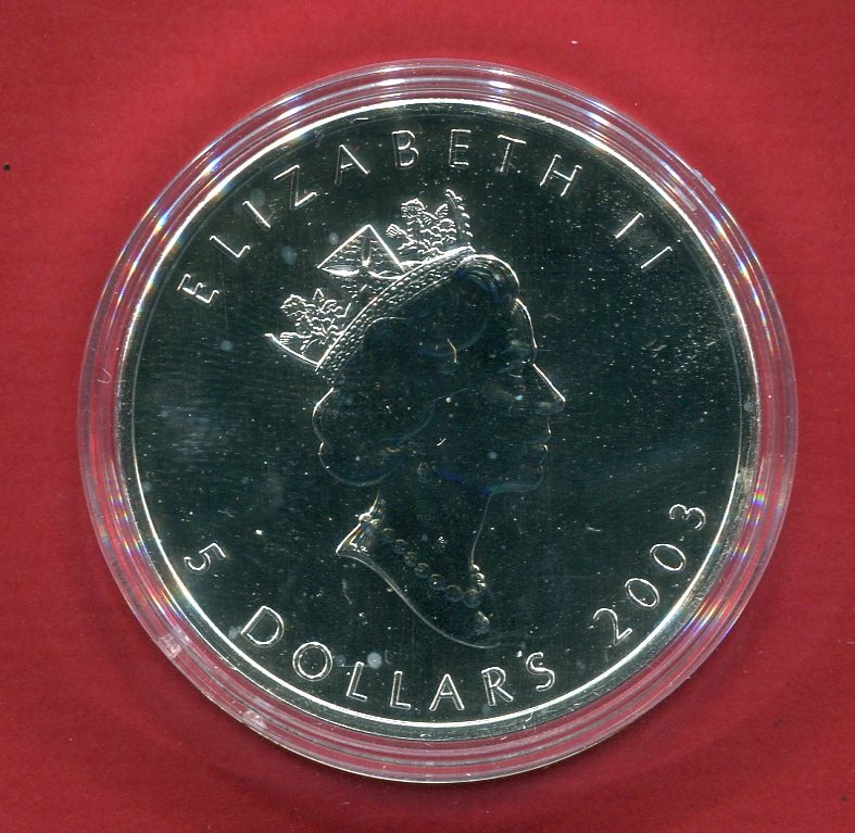 Kanada 5 Dollars Silbermünze 2003 Maple Leaf 1 oz m Farbapplikation