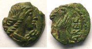 Volques Arécomices Bronze au Démos TTB