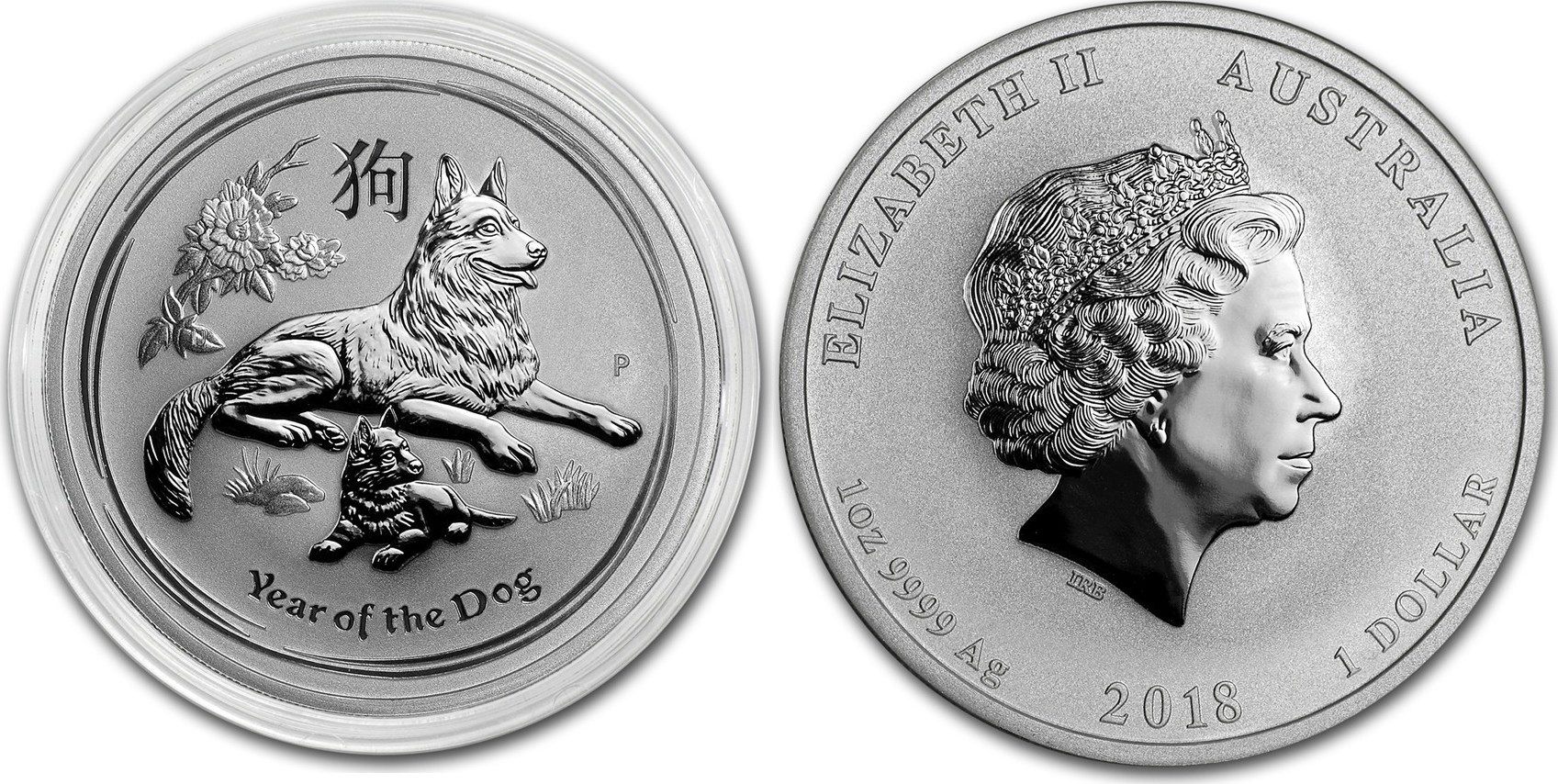 Australien 1 Dollar 2018 Perth Mint Lunar II Jahr Des Hund 1 Oz