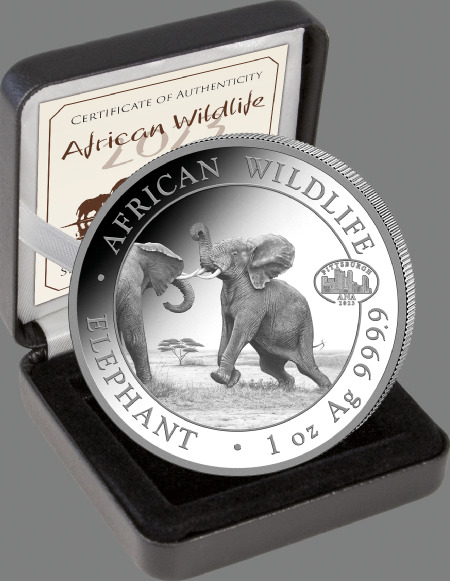 100 Shillings Silbermünze Somalia Elefant 2023 Privy Mark 1 oz 999