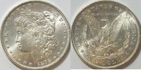 USA 1 $ Morgan 1878 - 1921 7 Federn