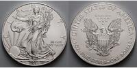 USA 1 $ Silber Eagle