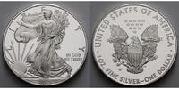 USA 1 $ Silber Eagle, inkl. Etui & Zertifikat & Schuber Foto