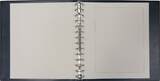 Safe "Yokama" Ringbinder Blau Nr. 774 Neu