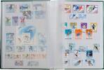 Leuchtturm Einsteckbuch Blau BASIC, DIN A4, 64 weiße Seiten geteilt 317849 Neu