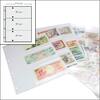 Safe Ergänzungsblätter für Banknotenalbum (15er Pack) Nr. 5483 Neu -