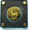 Tschad 2019 5000 Francs Springbock 1/200 Unze Feingold -
