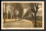 AK Anrath Kreis Viersen um 1912 Baumallee Obere Bahnstrasse -