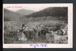 AK Herrenalb, LK Calw 1905 Gesamtansicht -
