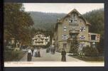 AK Bad Rippoldsau, LK Freudenstadt 1905 Stadtansicht -