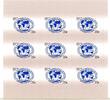 Russland Russland Folienblatt Neunerblock MiNr. 2189 selbstklebend postfrisch MiNr. 2189 selbstklebend Folienblatt Neunerblock -