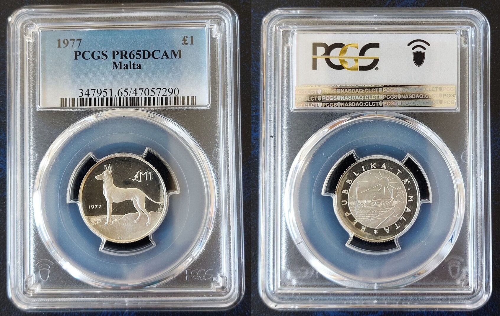 1 POUND 1977 MALTA SILVER PROOF COIN YEAR KM45 MALTESE HUNTING DOG