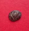 Rare monnaie Grecque Statère Selinonte (Sicile) Etat TB/TTB