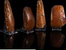   Pr&auml;historische Steinbeile  250,00 EUR  zzgl. 6,00 EUR Versand