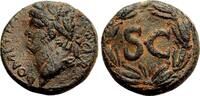 Roman Provincial AE20 DOMITIAN AE20. Antioch (Syria) mint. EF- Bust to left. Wreath - SC. -