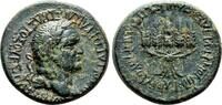 Roman Provincial AE26 APAMEIA (Phrygia) AE26. Vespasian. EF-/VF+. Ears of barley -