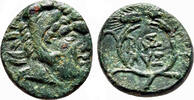 Greek AE14 LYSIMACHOS AE14. EF-. 306-281 B.C. Grain wreath. -