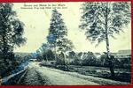 Ansichtskarten Postkarte Ansichtskarte Menz i. d. Mark , Globsower Weg, Blick aufs Dorf , gel. 1916 , Brandenburg -
