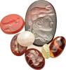 Antiques REPLICA Glyptic Lot of 7 REPRODUCTION of ancient gemstone -