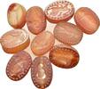 Antiques REPLICA Glyptic Lot of 10 REPRODUCTION of ancient gemstone -