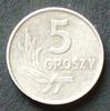 Polen 5 Groszy S.38.1 / Al / Wappenadler - Wert und Lorbeerzweig -
