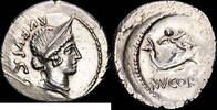Rome Denario 50-49 a.C. REPÚBLICA EBC- 190,00 EUR  zzgl. 10,00 EUR Versand