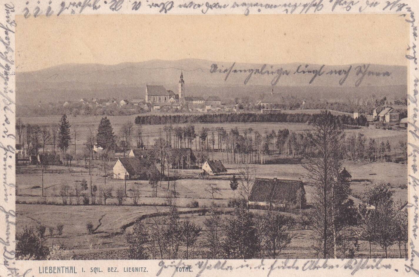 Deutsches Reich, Schlesien, Ansichtskarte 1914 Liebenthal bei Liegnitz