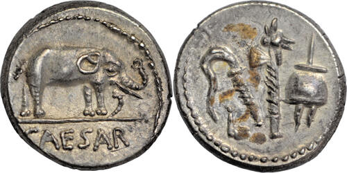 denarius Julius Caesar, silver  c. 49 BC, Elephant/emblems of the pontificate