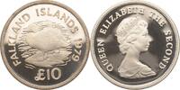 Falkland Inseln 10 Pounds Dampfschiffenten -