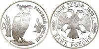 Russland 1 Rubel Russland, 1 Rubel, Mandschurischer Fischuhu, 1993, PP