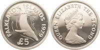 Falkland Inseln 5 Pounds Buckelwal -