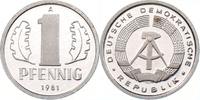 DDR 1 Pfennig 1981 nur 40 Exemplare in Polierter Platte PP