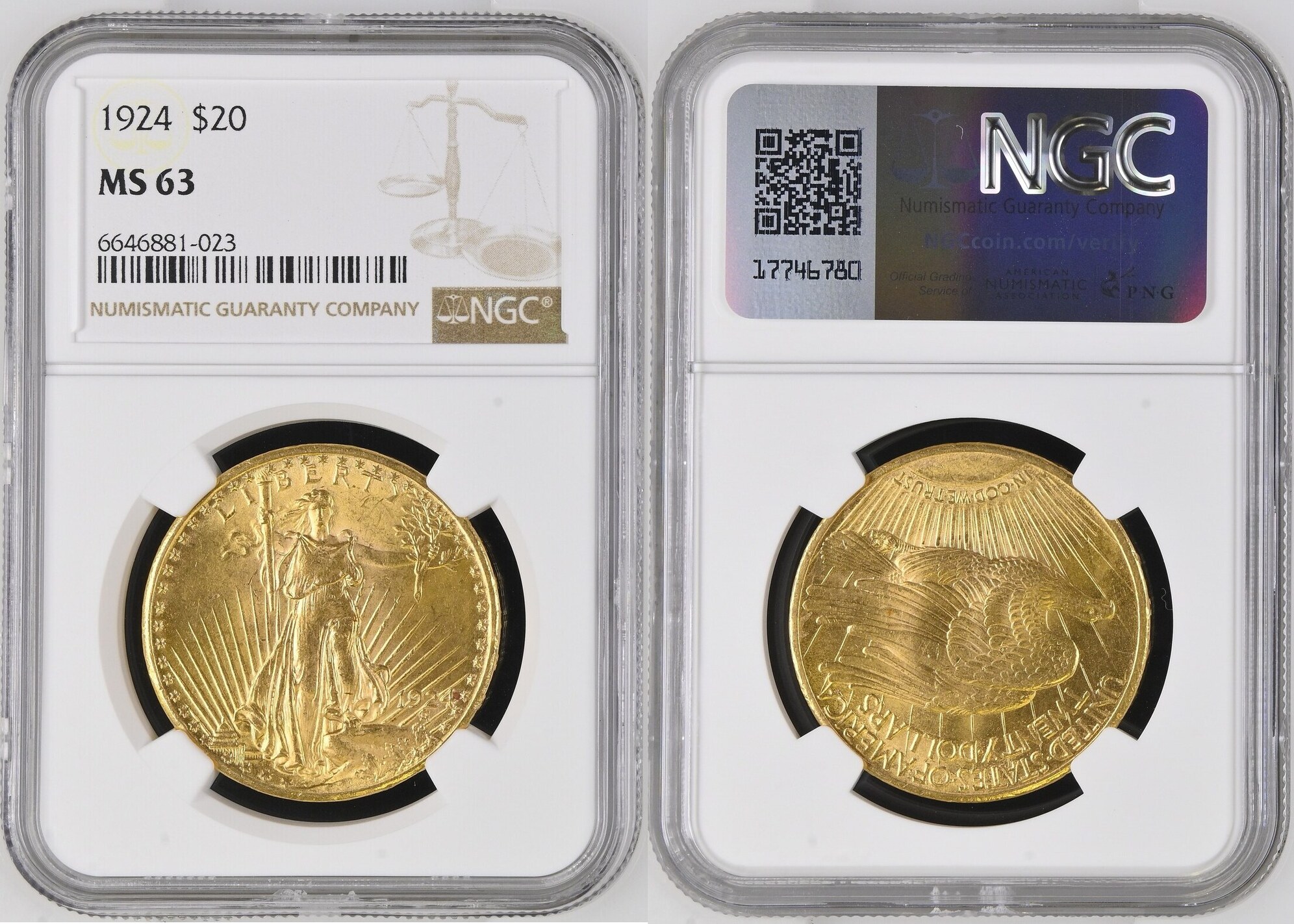 USA $20 DOUBLE EAGLE 1924 NGC MS 63 | MA-Shops