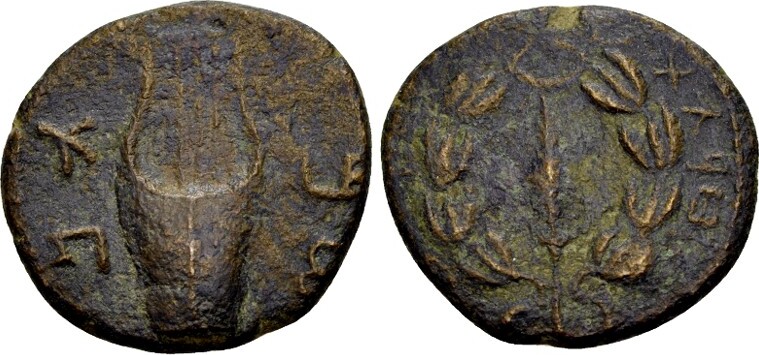 Judaean AE 22 Judäa. Bar Kochba 132135, AE (22mm, 6,30 gram) 13435 SS